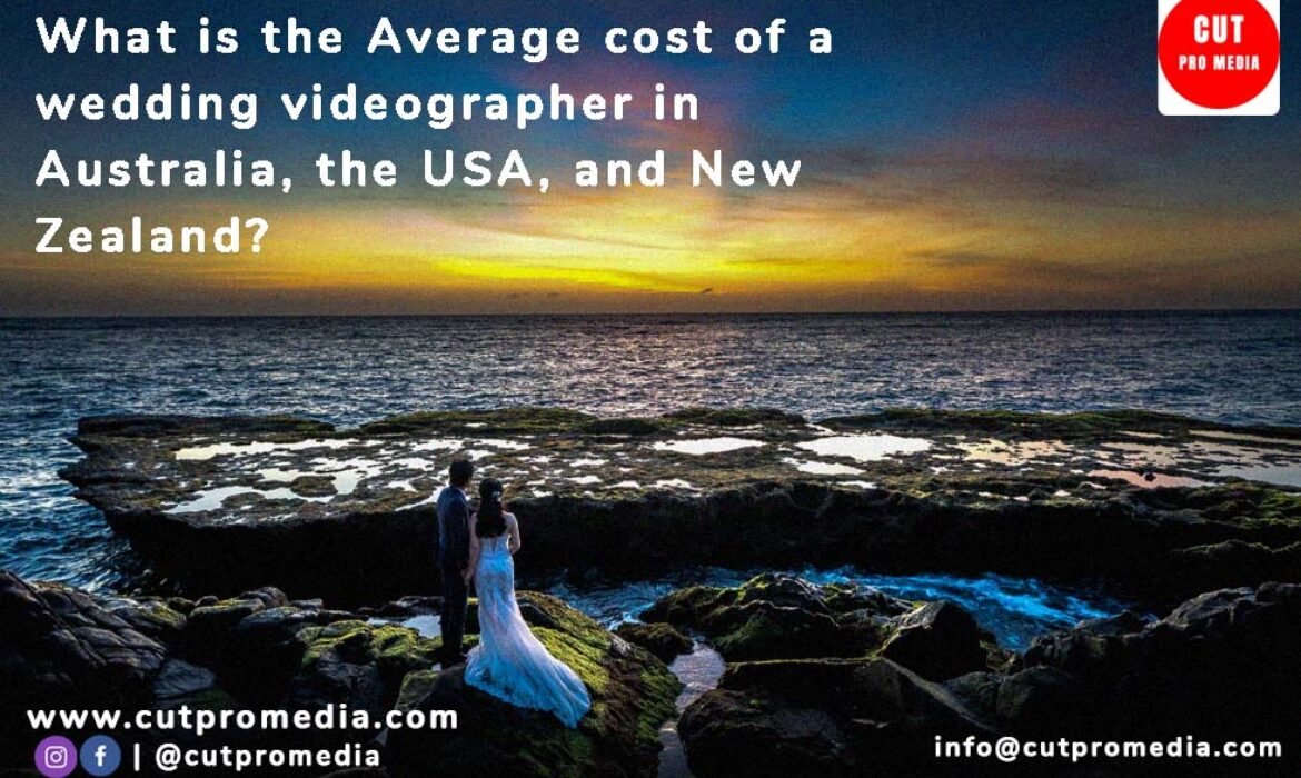 What is the Average cost of a wedding videographer
