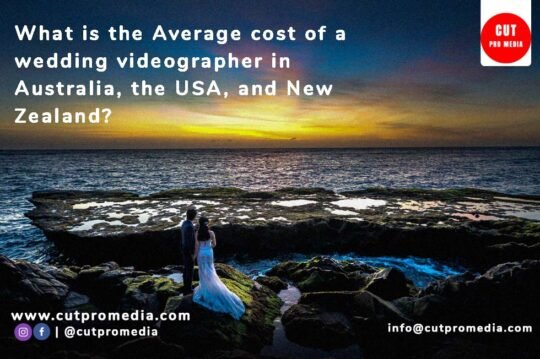 What is the Average cost of a wedding videographer